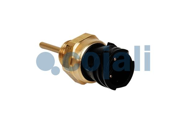 Senzor temperatura lichid racire (numar pini: 2, dimensiunea cheii: 27mm) potrivit DAF 85 CF, 95 XF, CF 75, CF 85, SB, XF 105, XF 95 6BT5.9-XF355M 01.74-
