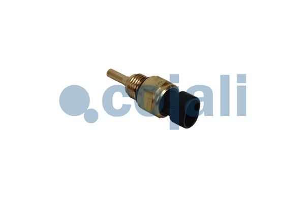 Senzor temperatura lichid racire potrivit CUMMINS (numar pini: 2) [3]