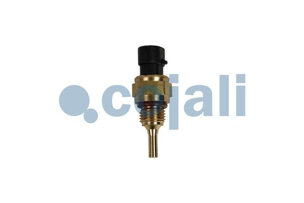 Senzor temperatura lichid racire potrivit CUMMINS (numar pini: 2) [2]