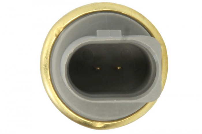 Senzor temperatura lichid racire (numar pini: 2) potrivit MAN TGE; MERCEDES V (638/2); AUDI A1, A2, A3, A4 ALLROAD B8, A4 ALLROAD B9, A4 B5, A4 B6, A4 B7, A4 B8, A4 B9, A5 1.0-Electric 06.94- [2]