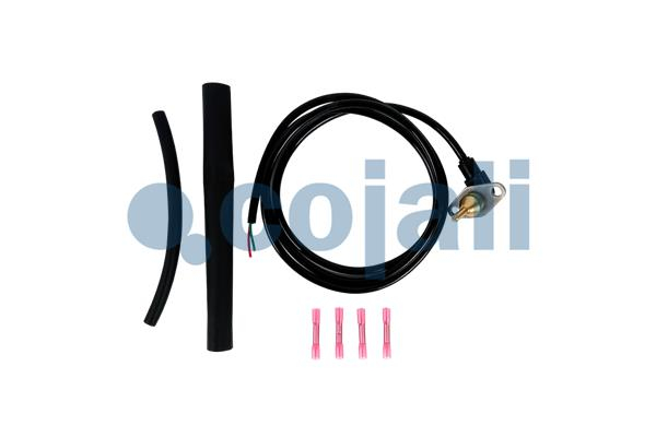 Senzor temperatura potrivit SCANIA G I, P I, R I, T 01.03-05.19 [2]