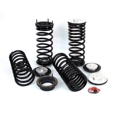 Set arcuri suspensie potrivit LAND ROVER RANGE ROVER II 2.5D/4.0/4.6 1994-2002 [2]