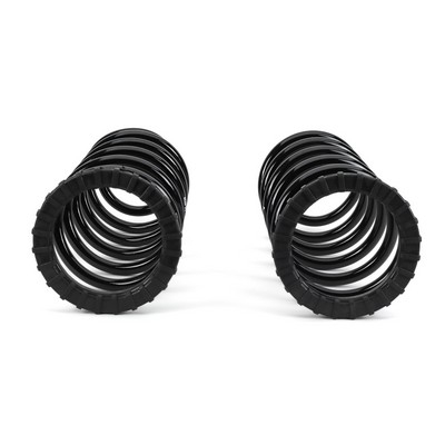 Set arcuri suspensie potrivit LEXUS GX; TOYOTA LAND CRUISER PRADO 3.0D/4.0/4.7 11.01-12.10 [4]