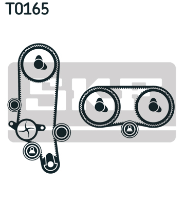 Set distributie potrivit AUDI A2; SEAT LEON, TOLEDO II; VW BORA, BORA I, GOLF IV, LUPO I, POLO, POLO III 1.6 1998-2006 (curea + intinzator + pompa apa) [3]