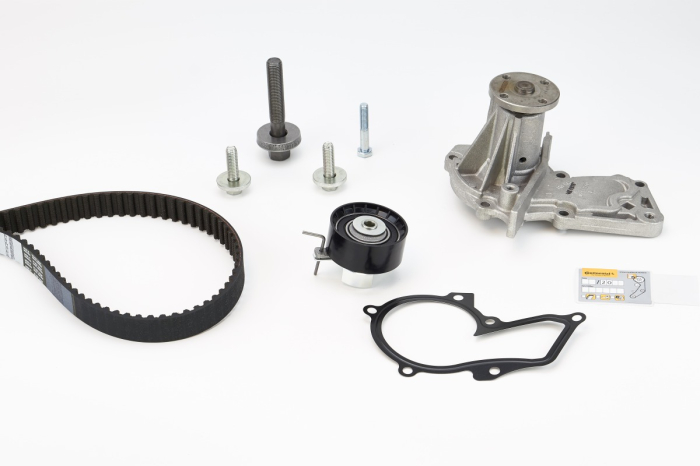 Set distributie potrivit VOLVO C30, S40 II, V50; FORD B-MAX, C-MAX, C-MAX II, ECOSPORT, FIESTA, FIESTA V, FIESTA VI, FOCUS C-MAX 1.2-1.6LPG dupa 2001 (curea + intinzator + pompa apa) [2]