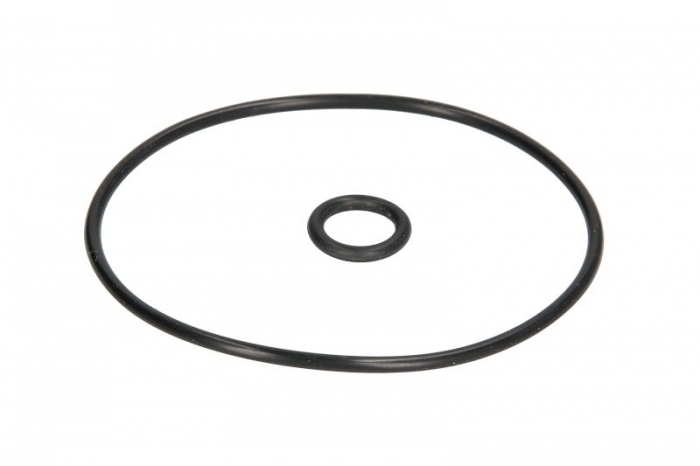 Set garnitura pompa vacuum potrivit JEEP GLADIATOR; MAZDA 6, CX-7 2.2D/3.6 dupa 2009 [2]