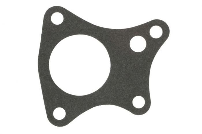 Set garnitura pompa vacuum (x0,3) potrivit VOLVO 340-360, 440, 460, S40 I, V40; ARO 10; DACIA PICK UP, SOLENZA; MITSUBISHI CARISMA; OPEL ARENA; RENAULT 11, 19 I, 19 I CHAMADE 1.6D/1.9D 10.82- [1]