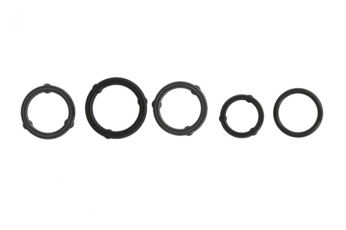 Set garnituri radiator ulei potrivit CHRYSLER 200, 300C, TOWN  COUNTRY, VOYAGER V; DODGE AVENGER, CHALLENGER, CHARGER, DURANGO, GRAND, JOURNEY; FIAT FREEMONT; JEEP CHEROKEE 3.2 3.6 3.6ALK 09.10-