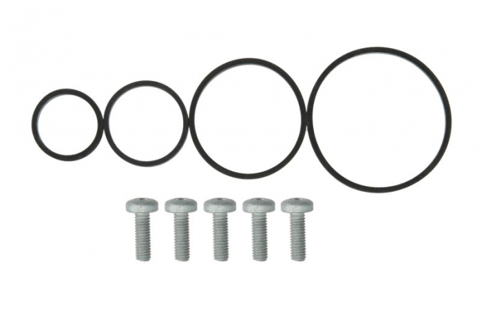 Set garnituri radiator ulei potrivit VW CALIFORNIA T5 CAMPER, MULTIVAN T5, TOUAREG, TRANSPORTER T5 2.5D 01.03-05.10