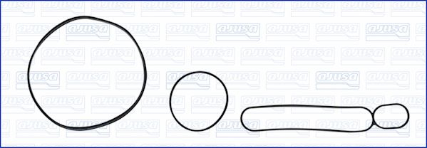 Set garnituri radiator ulei potrivit VW TOUAREG 5.0D 2002-2010 [2]