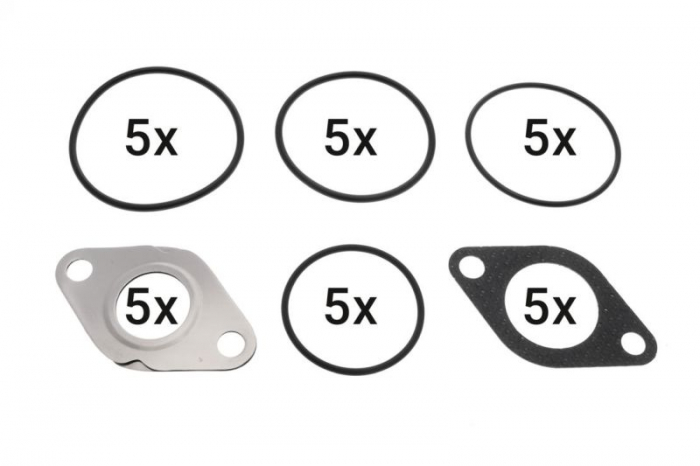 Set garnituri supapa EGR potrivit AUDI A3, Q7; SEAT ALTEA, ALTEA XL, CORDOBA, IBIZA III, IBIZA IV, IBIZA IV SC, LEON, TOLEDO III; SKODA FABIA II, OCTAVIA II 1.4D-4.0D 10.01-12.19