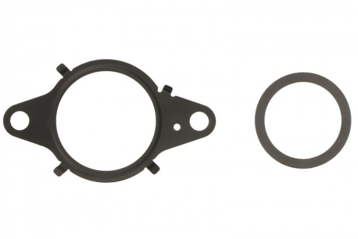 Set garnituri supapa EGR potrivit FIAT 500X, BRAVO II, DOBLO, DOBLO CARGO, DUCATO, FREEMONT, TIPO; JEEP COMPASS, RENEGADE; SAAB 9-3 1.6D 1.9D 2.0D 09.07-