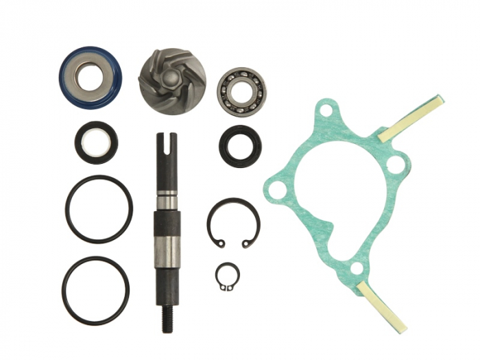 Set reparatie pompa apa potrivit HONDA FES 250 1998-1998
