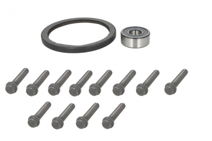 Set surub volanta potrivit MERCEDES ACTROS MP4   MP5, ANTOS, AROCS 07.11-