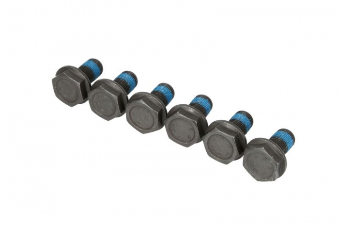 Set suruburi ambreiaj, cantitate per impachetare 6buc (M10x1x19,5mm) potrivit AUDI A1, A1 CITY CARVER, A3, Q2, Q3, TT; AUSTIN MAESTRO, MONTEGO; MG MAESTRO; ROVER MAESTRO 1.0-2.5 02.74- [1]