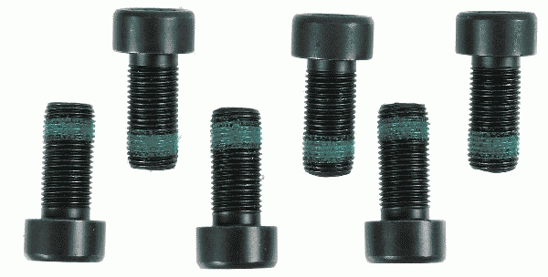 Set suruburi ambreiaj, cantitate per impachetare 6buc (M10x1x22mm) potrivit MAN TGE; AUDI A1, A6 ALLROAD C8, Q2, Q3; SEAT ARONA, IBIZA V, TARRACO; SKODA KAMIQ, KAROQ, KODIAQ I 1.0-2.0DH 03.05-