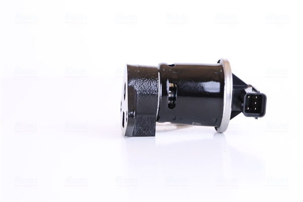 Supapa EGR potrivit CHEVROLET LACETTI, NUBIRA, REZZO; DAEWOO LACETTI, NUBIRA, TACUMA / REZZO 1.4/1.6/1.8 06.99- [5]