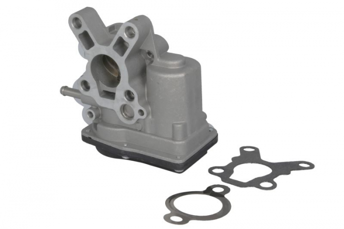Supapa EGR potrivit NISSAN CABSTAR, NAVARA, NAVARA NP300, NP300, PATHFINDER III, PICK UP 2.5D 11.01-
