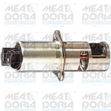 Supapa EGR potrivit NISSAN INTERSTAR, KUBISTAR, PRIMASTAR; OPEL MOVANO A, VIVARO A; RENAULT AVANTIME, CLIO II, CLIO III, ESPACE III, ESPACE IV, KANGOO EXPRESS, LAGUNA II 1.5D 2.2D 2.5D 07.00-