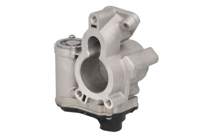 Supapa EGR potrivit NISSAN PRIMASTAR, QASHQAI I, X-TRAIL, X-TRAIL II; OPEL VIVARO A; RENAULT ESPACE IV, GRAND SCENIC II, KOLEOS I, LAGUNA, LAGUNA II, LAGUNA III, MEGANE II, SCENIC II 2.0D 08.05-