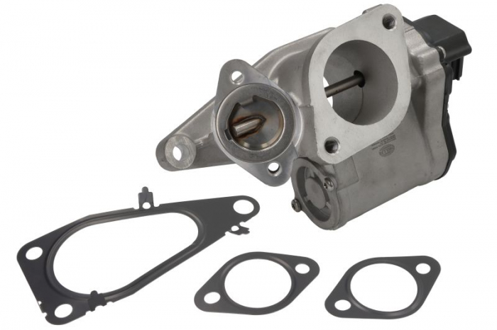 Supapa EGR potrivit RENAULT GRAND SCENIC II, LAGUNA II, MEGANE II, MEGANE II KOMBI, SCENIC II; SUZUKI GRAND VITARA II 1.9D 11.02-