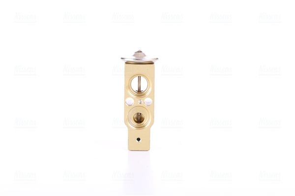 Supapa expansiune clima potrivit ALFA ROMEO 145, 146, 166; FIAT BARCHETTA, BRAVA, BRAVO I, COUPE, DUCATO, MAREA, PUNTO; HYUNDAI ACCENT I; LANCIA KAPPA, LYBRA, Y; LAND ROVER FREELANDER I 1.1-4.5 08.83- [4]