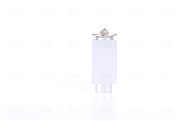 Supapa expansiune clima potrivit MERCEDES 124 (A124), 124 (C124), 124 T-MODEL (S124), 124 (W124), 190 (W201), G (W461), G (W463), S (C140), SL (R129); ALFA ROMEO 145, 146 1.0-Electric 10.82- [2]