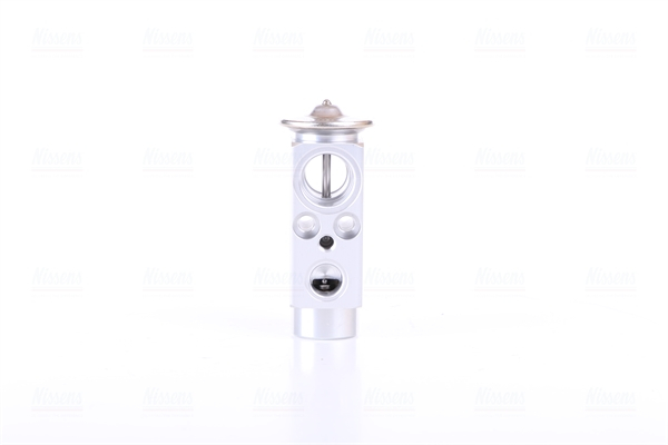 Supapa expansiune clima potrivit MERCEDES A (W169), C (CL203), C T-MODEL (S203), C (W203), G (W461), G (W463), S (C215), S (W220), SLK (R170), SPRINTER 3,5-T (B906), SPRINTER 3-T (B906) 1.5-6.3 09.93- [4]