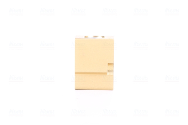 Supapa expansiune climatizare potrivit AUDI A3, TT; CITROEN XANTIA, XANTIA KOMBI; FIAT DUCATO; MG MG ZR, MG ZS; RENAULT CLIO II, CLIO II HATCHBACK, KANGOO, KANGOO EXPRESS, KANGOO II 1.0-Electric 09.85