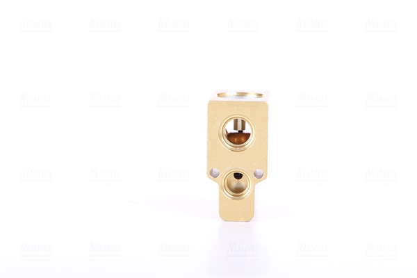 Supapa expansiune climatizare potrivit AUDI A3, TT; CITROEN XANTIA, XANTIA/KOMBI; FIAT DUCATO; MG MG ZR, MG ZS; RENAULT CLIO II, CLIO II/HATCHBACK, KANGOO, KANGOO EXPRESS, KANGOO II, MASTER I 1.0-3.2  [4]