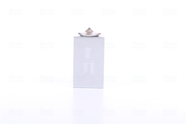 Supapa expansiune climatizare potrivit CITROEN C2, C3 I, C3 PLURIEL; FIAT PUNTO, PUNTO/HATCHBACK; FORD GALAXY II, MONDEO III, S-MAX; PEUGEOT 1007 1.1-3.0 09.99- [3]