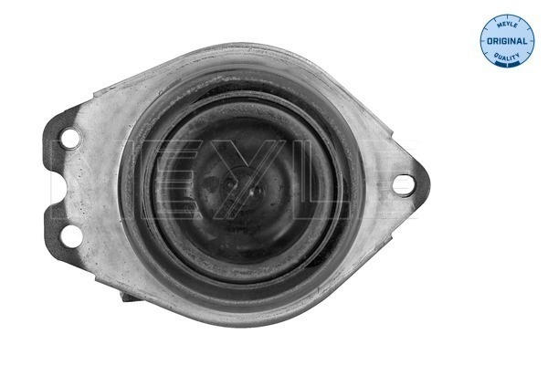 Suport motor dreapta (Hidraulic) RENAULT ESPACE IV, LAGUNA II, VEL SATIS 2.0D-3.5 dupa 2001 [2]