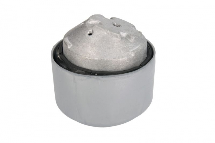 Suport motor fata dreapta hidraulic potrivit MERCEDES C (CL203), C T-MODEL (S203), C (W203), CLC (CL203), CLK (A209), CLK (C208), CLK (C209), CLS (C219), E T-MODEL (S211), E (W210) 1.8-5.5 05.96-01.12 [2]