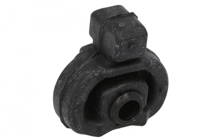 Suport sistem esapament potrivit NISSAN INTERSTAR; OPEL MOVANO A; RENAULT KANGOO, KANGOO EXPRESS, MASTER II, MEGANE I, MEGANE I CLASSIC, MEGANE I COACH, MEGANE SCÉNIC, SCENIC I 1.0-3.0D 01.96- [1]