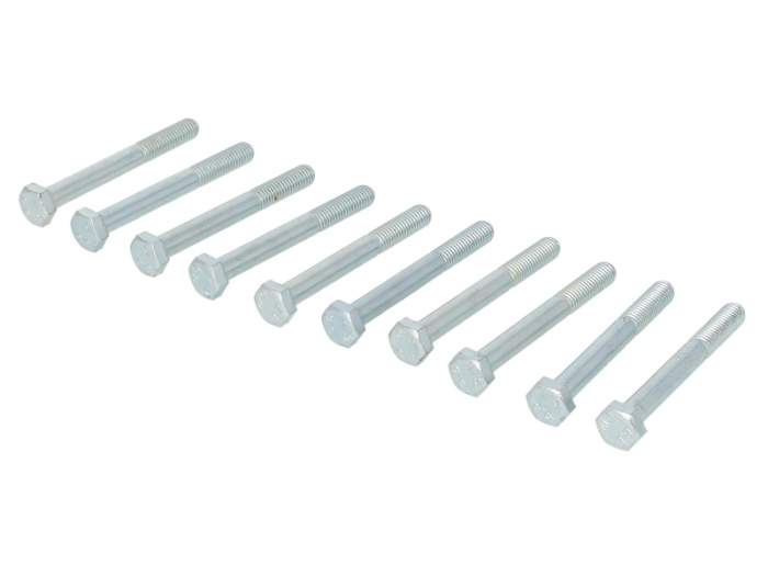 Surub sistem evacuare (M8x70), 10 buc [1]