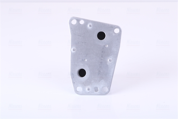 Termoflot potrivit DS DS 4, DS 5, DS 7; CITROEN C4 GRAND PICASSO II, C4 II, C4 PICASSO II, C4 SPACETOURER, C5 III, DS4, DS5, GRAND C4 SPACETOURER, JUMPER II, JUMPY III 2.0D 04.09- [2]