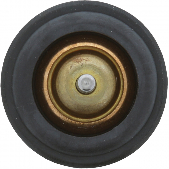 Termostat lichid racire (105°C) potrivit AUDI A1, A3, A4 B9, A5, Q3; SEAT ALHAMBRA, ATECA, IBIZA IV, IBIZA IV SC, IBIZA IV ST, IBIZA V, LEON, LEON SC, LEON ST, LEON ST/KOMBI, MII 1.0-1.6 05.08- [2]