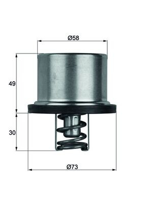 Termostat lichid racire (79  C, in carcasa) potrivit BMW 3 (E90), 3 (E92), 3 (E93), 5 (E60), 5 (E61), 6 (E63), 6 (E64) 4.0 4.4 5.0 09.04-10.13
