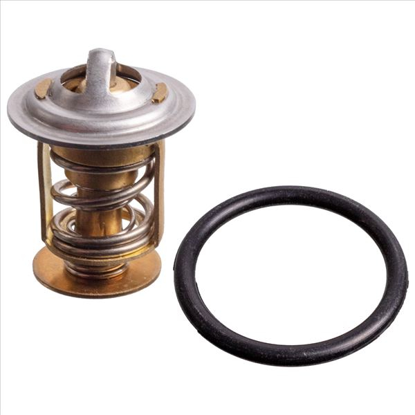 Termostat lichid racire (75°C, cu garnitura) potrivit MAN TGX I D3876LF01-D3876LF09 01.14-09.21 [3]