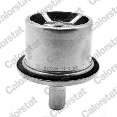 Termostat lichid racire (87  C, cu garnitura) potrivit DAF 75 CF, 85 CF, 95 XF, CF 75, CF 85, XF 105, XF 95; SOLARIS URBINO I, URBINO II MX265-XF355M 01.97-