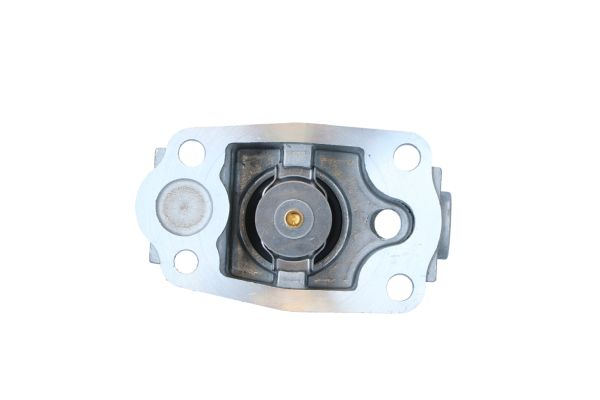 Termostat lichid racire (79°C, cu carcasa) potrivit IVECO DAILY III, MASSIF F1CE0481A-F1CE0481H 07.99-02.11 [3]