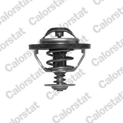 Termostat lichid racire (83°C) potrivit RENAULT LAGUNA I 2.2D 09.95-03.01 [2]