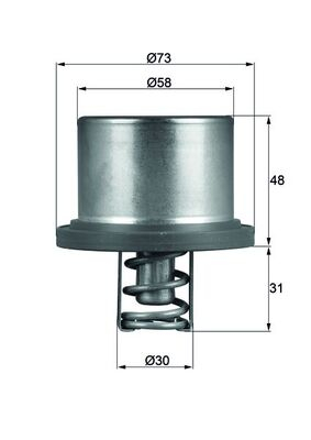 Termostat lichid racire (89  C) potrivit PORSCHE CAYENNE 3.6 4.8 02.07-09.10