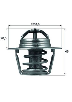 Termostat lichid racire (89  C) potrivit RENAULT 19 II CHAMADE, CLIO II, KANGOO, KANGOO EXPRESS, LAGUNA I, LAGUNA II, MEGANE I, MEGANE I CLASSIC, MEGANE I COACH, MEGANE SCENIC 1.2-2.0 08.85-