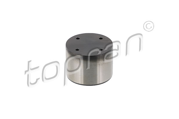 Tija pompa inalta presiune potrivit VOLVO S60 II, S80 II, V40, V60 I, V70 III, XC60 I; FORD B-MAX, C-MAX II, ECOSPORT, FIESTA VI, FOCUS III, GALAXY II, GALAXY III, KUGA II, MONDEO IV 1.0-2.0 09.09-