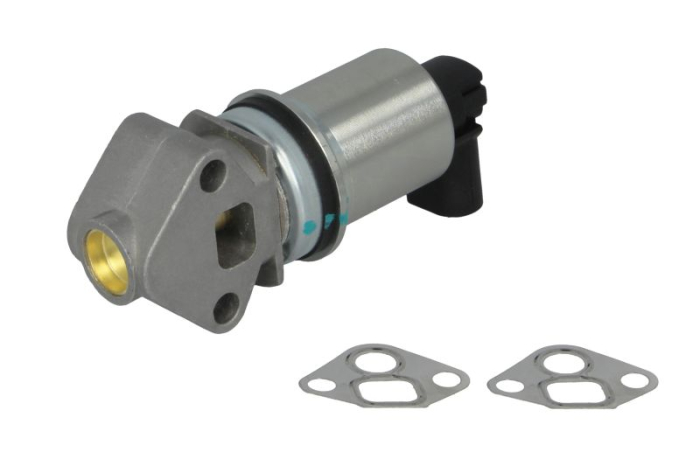 Valva EGR potrivit SEAT CORDOBA, IBIZA III; SKODA FABIA I, FABIA I PRAKTIK; VW POLO, POLO V 1.2 10.01-05.14