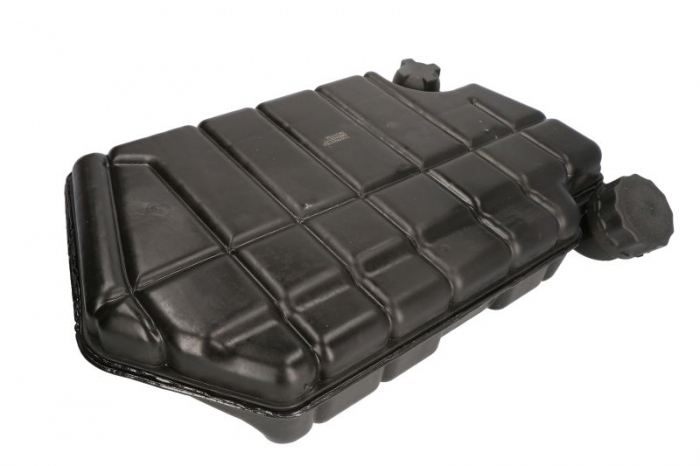 Vas expansiune lichid racire (cu conector, cu mufe) potrivit DAF 95 XF, XF 95 01.97-12.06 [2]