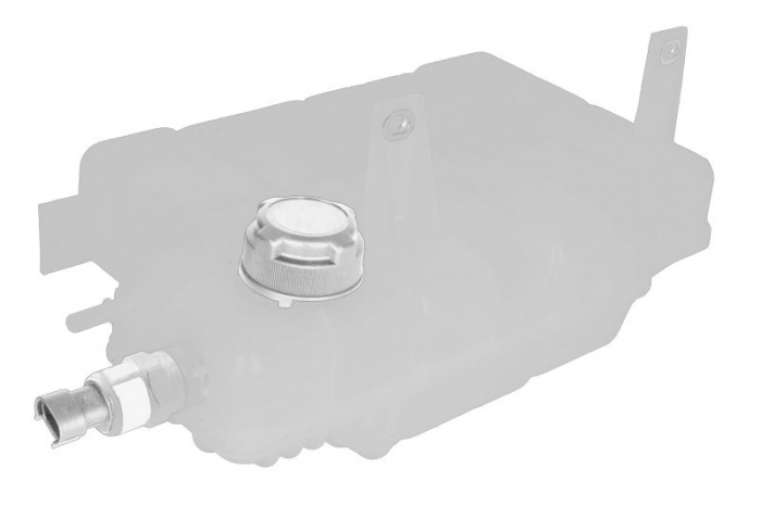 Vas expansiune lichid racire potrivit IVECO DAILY IV, DAILY V 07.07-02.14