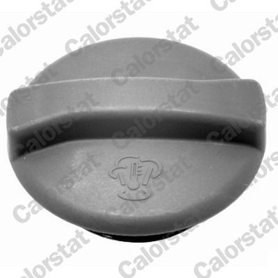 Vas expansiune racire (cu priza, cu senzor nivel) potrivit SEAT CORDOBA, CORDOBA VARIO, CORDOBA VARIO/KOMBI, IBIZA I, IBIZA II, INCA, TOLEDO I; VW CADDY II, CADDY II/MINIVAN, CORRADO 08.83-03.10 [4]