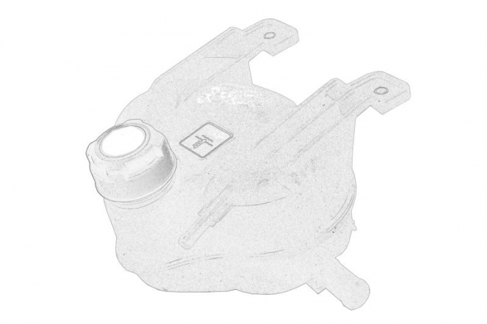 Vas expansiune racire (cu priza) potrivit ALFA ROMEO MITO; FIAT 500L, DOBLO, DOBLO CARGO, DUCATO, GRANDE PUNTO, LINEA, PUNTO, PUNTO EVO, PUNTO EVO HATCHBACK, PUNTO HATCHBACK 06.05-